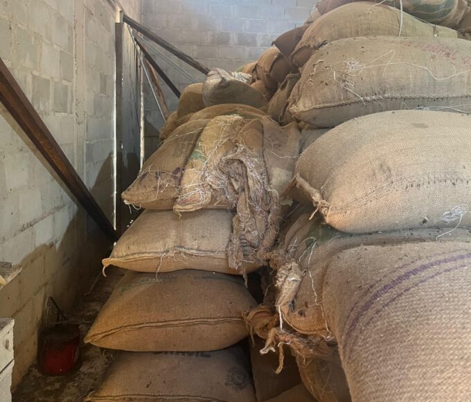 Whatsapp20image202026 03 1920at2017.03.59.jpeg