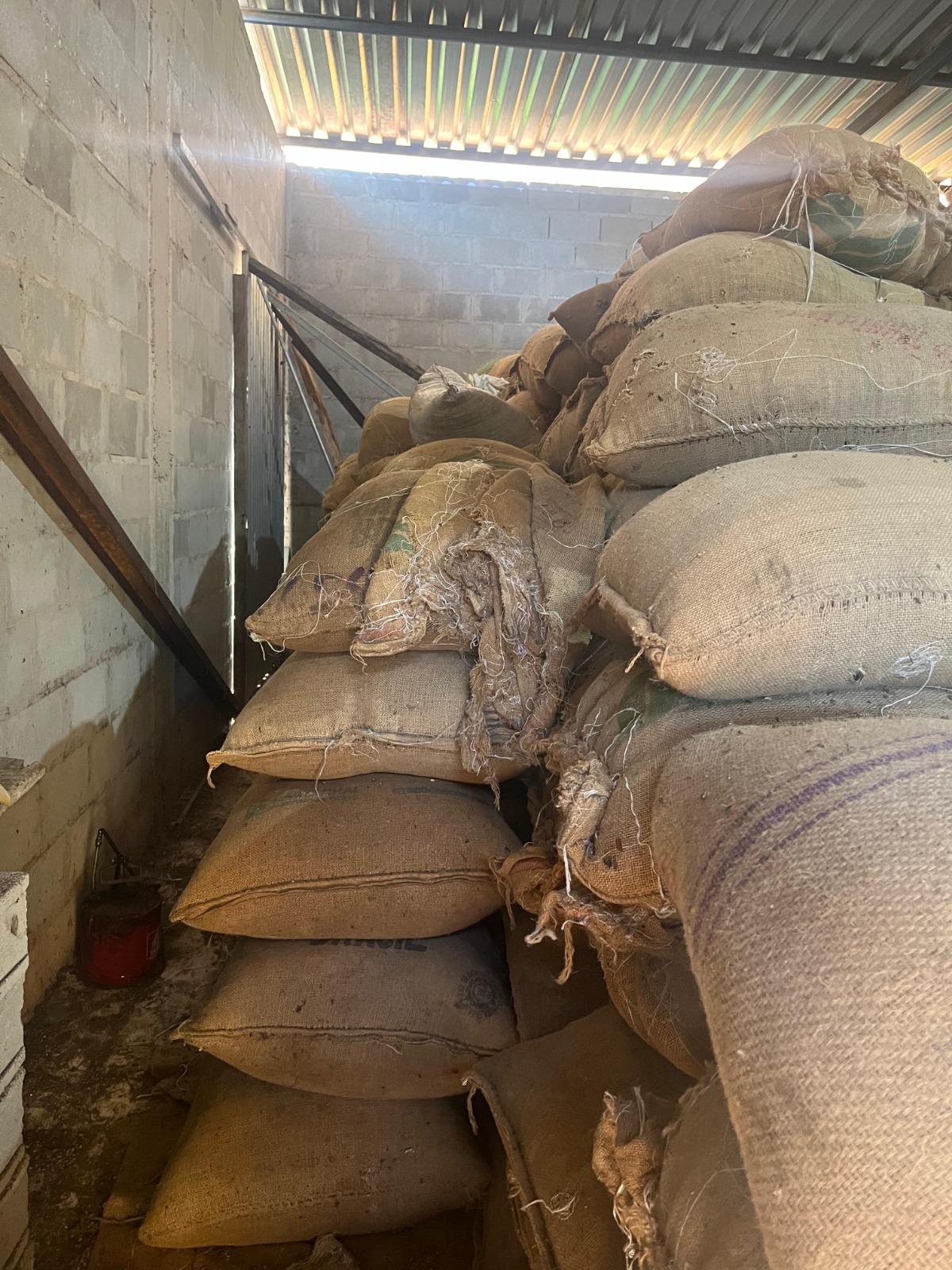 Whatsapp20image202026 03 1920at2017.03.59.jpeg