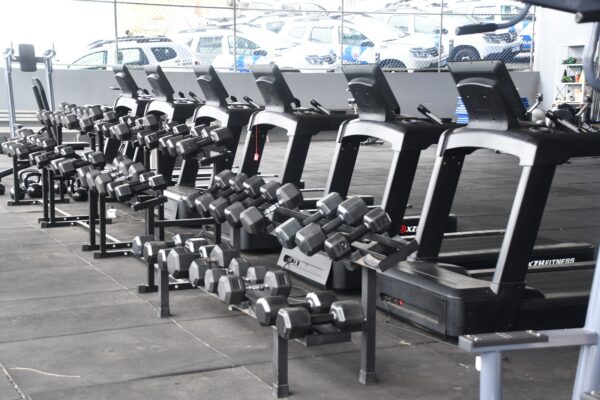 Whatsapp20image202026 03 2020at2015.05.39203.jpeg