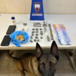 Eb3d33a6 98dd 4faa ab82 c10002d057fe.jpg