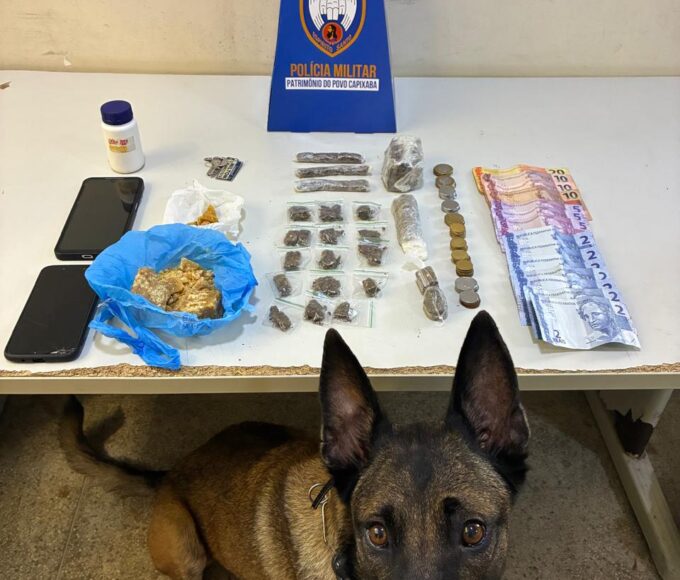 Eb3d33a6 98dd 4faa ab82 c10002d057fe.jpg