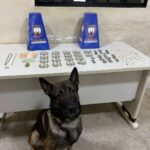 7fb3f0ad 6800 45d3 9aff afa5e27dac13.jpg