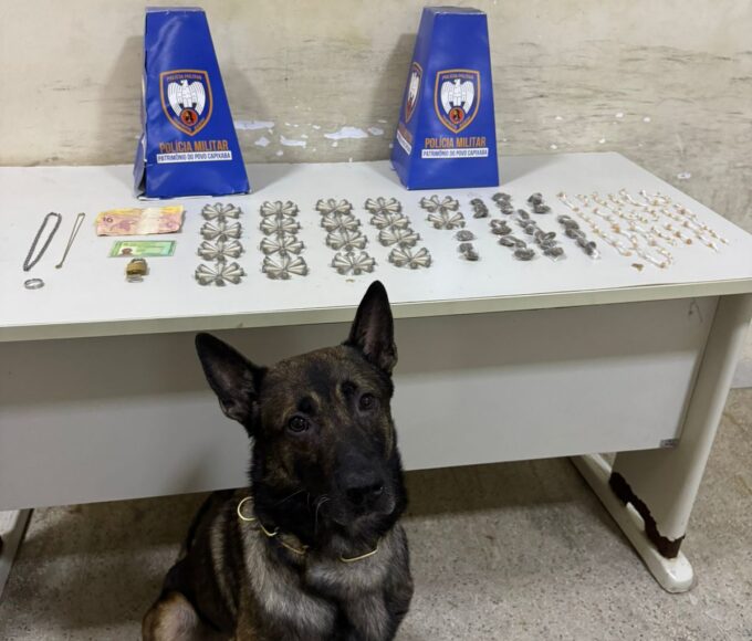 7fb3f0ad 6800 45d3 9aff afa5e27dac13.jpg