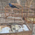 Whatsapp20image202026 04 0720at2016.33.39.jpeg