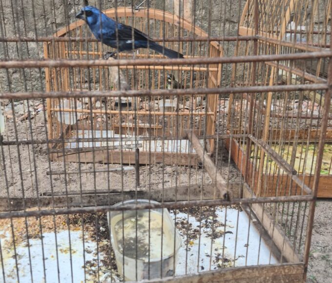 Whatsapp20image202026 04 0720at2016.33.39.jpeg