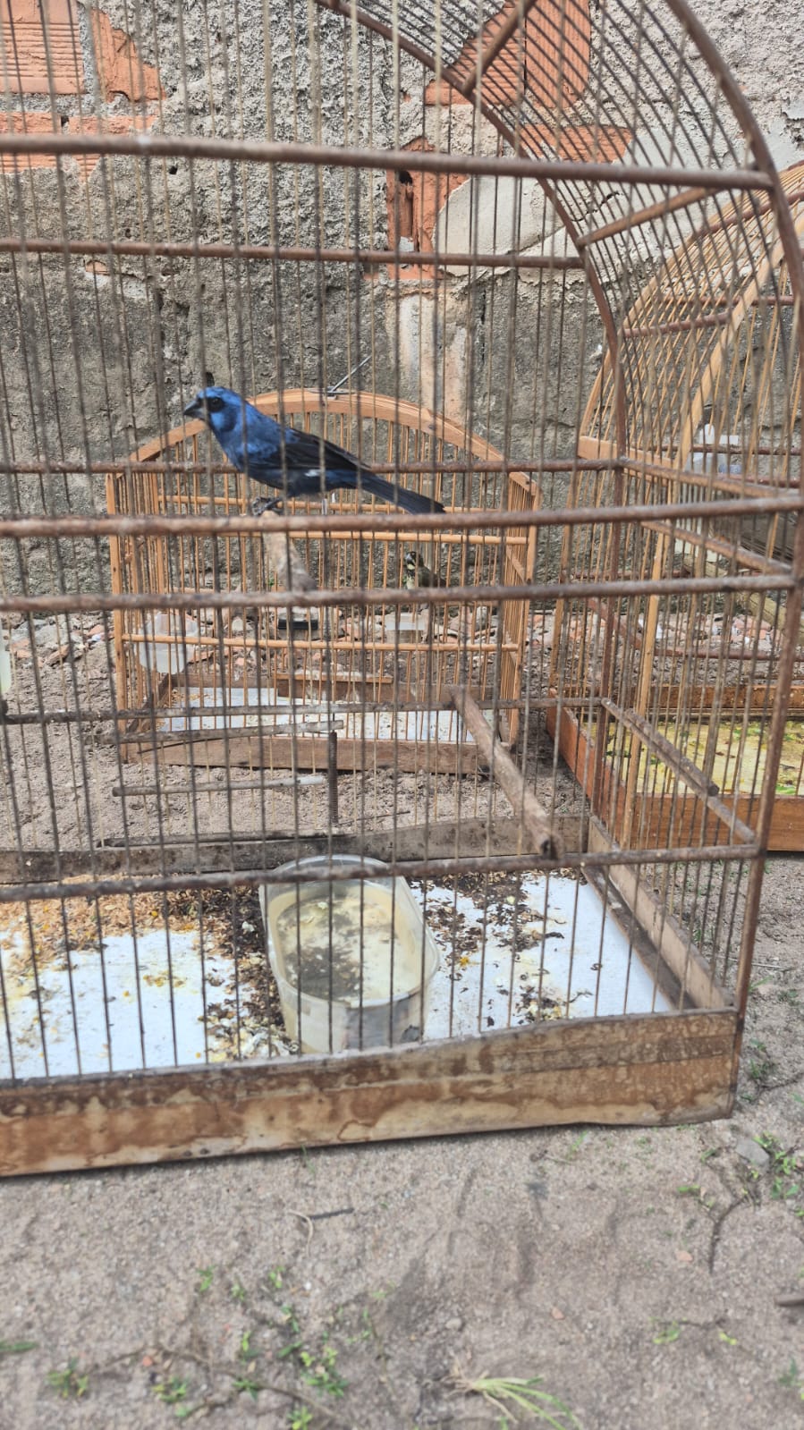 Whatsapp20image202026 04 0720at2016.33.39.jpeg