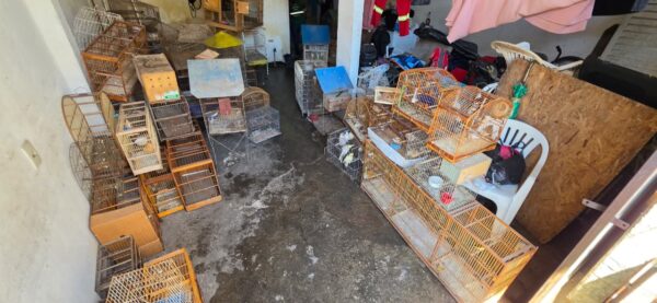 Whatsapp20image202026 04 0920at2012.35.59201.jpeg