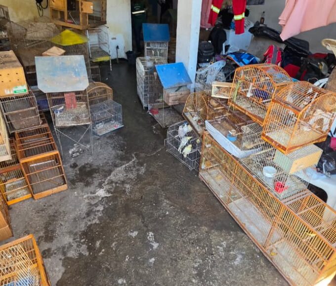 Whatsapp20image202026 04 0920at2012.35.59201.jpeg