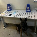 Whatsapp20image202026 04 0920at2017.06.38201.jpeg