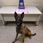 Whatsapp20image202026 04 1520at2015.31.35.jpeg