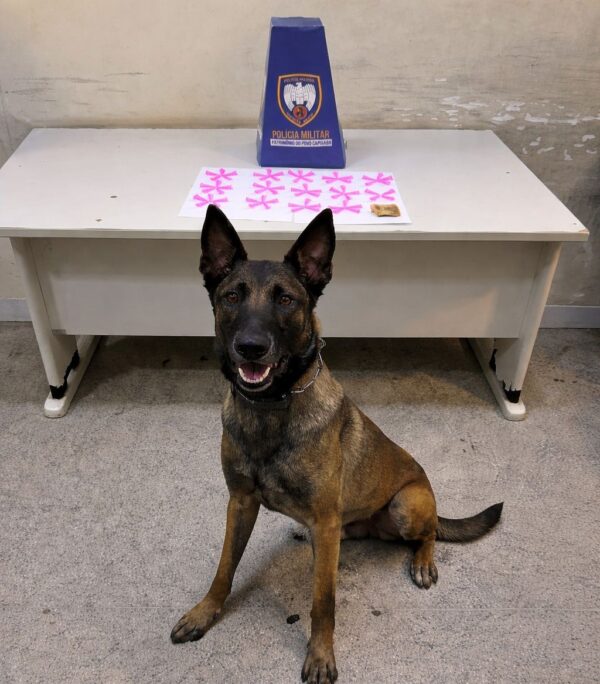 Whatsapp20image202026 04 1520at2015.31.35.jpeg