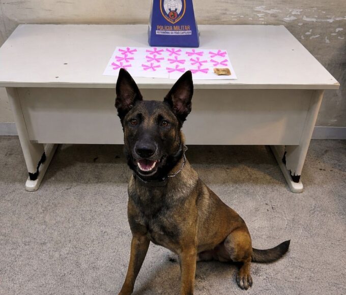 Whatsapp20image202026 04 1520at2015.31.35.jpeg