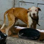 Whatsapp20image202026 04 1720at2009.46.42.jpeg