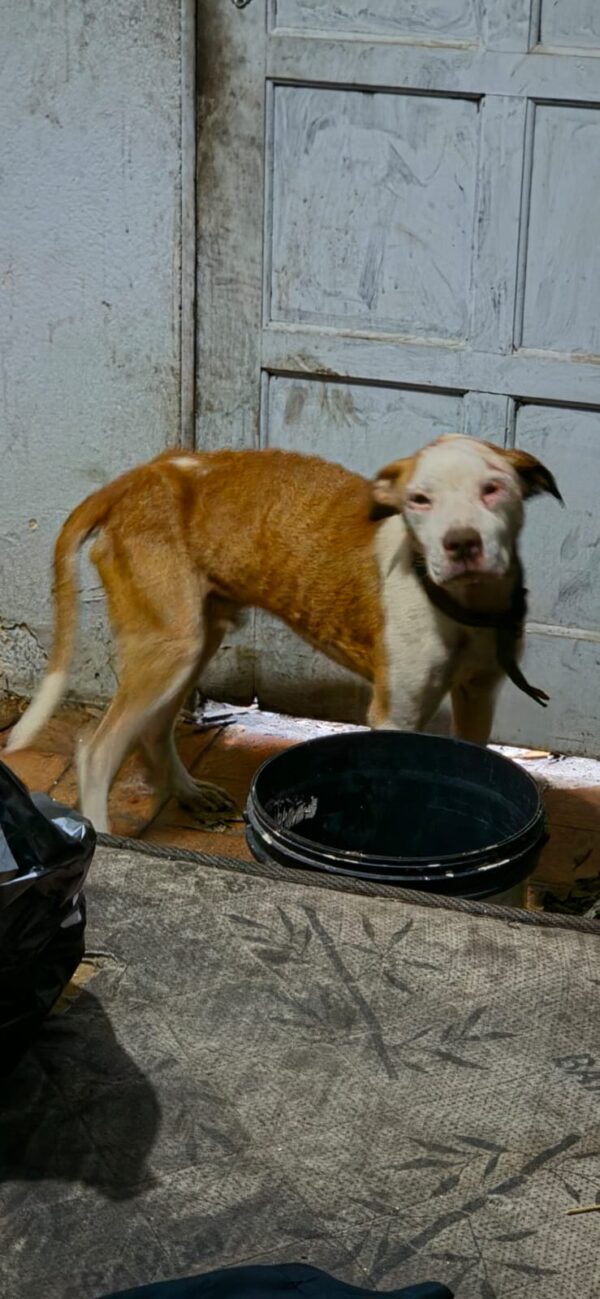 Whatsapp20image202026 04 1720at2009.46.42.jpeg