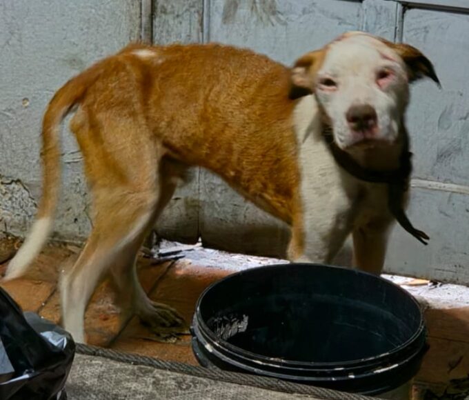 Whatsapp20image202026 04 1720at2009.46.42.jpeg