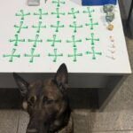 Whatsapp20image202026 04 3020at2005.27.51.jpeg