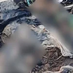 Pernas humanas sao encontradas dentro de sacola em0031393700202606161241