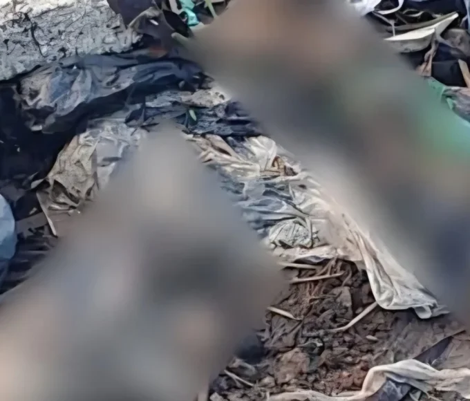 Pernas humanas sao encontradas dentro de sacola em0031393700202606161241